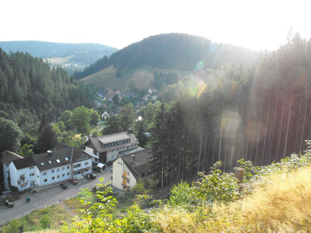 Ferienwohnung Sonnenhügel Wildemann Exterior foto